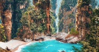 Національний лісовий парк Чжанцзяцзе фото